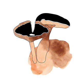 Druckmotiv: "Pilzduo", 2016